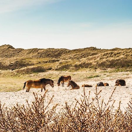 Villa De Bollenschuur Egmond aan Zee Esterno foto