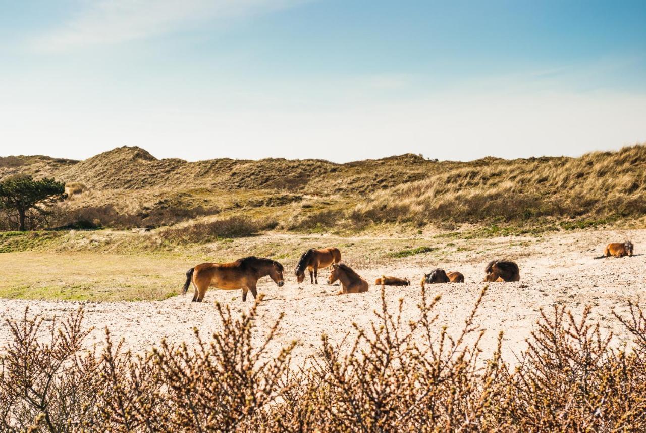 Villa De Bollenschuur Egmond aan Zee Esterno foto